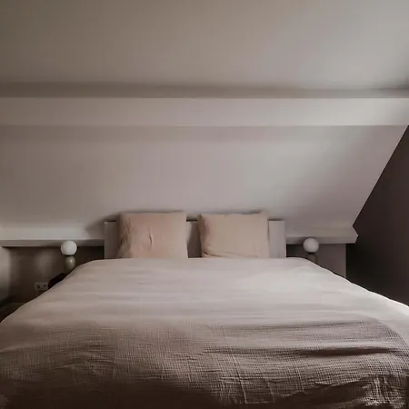 Spacious Family Schiedam